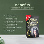 Load image into Gallery viewer, Zeba Zulf-e-Henna Hair Color Powder Black